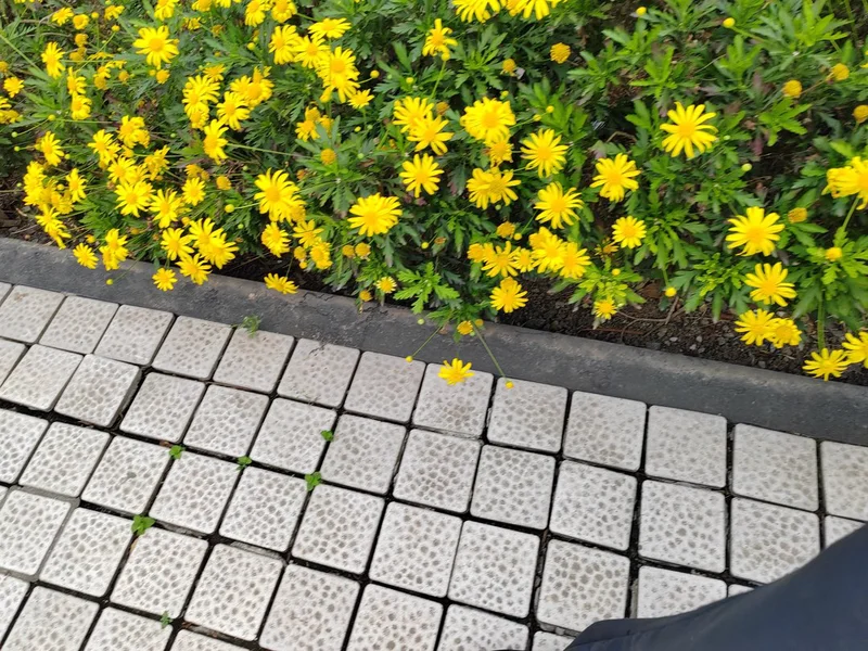 巴南区公墓陵园销售