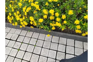 巴南区公墓陵园销售